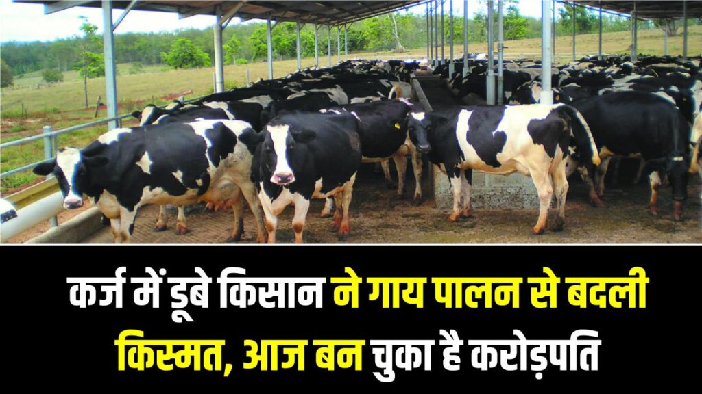 Dairy Farming Success Story: कर्ज में डूबे किसान ने गाय पालन से बदली किस्मत, आज बन चुका है करोड़पति