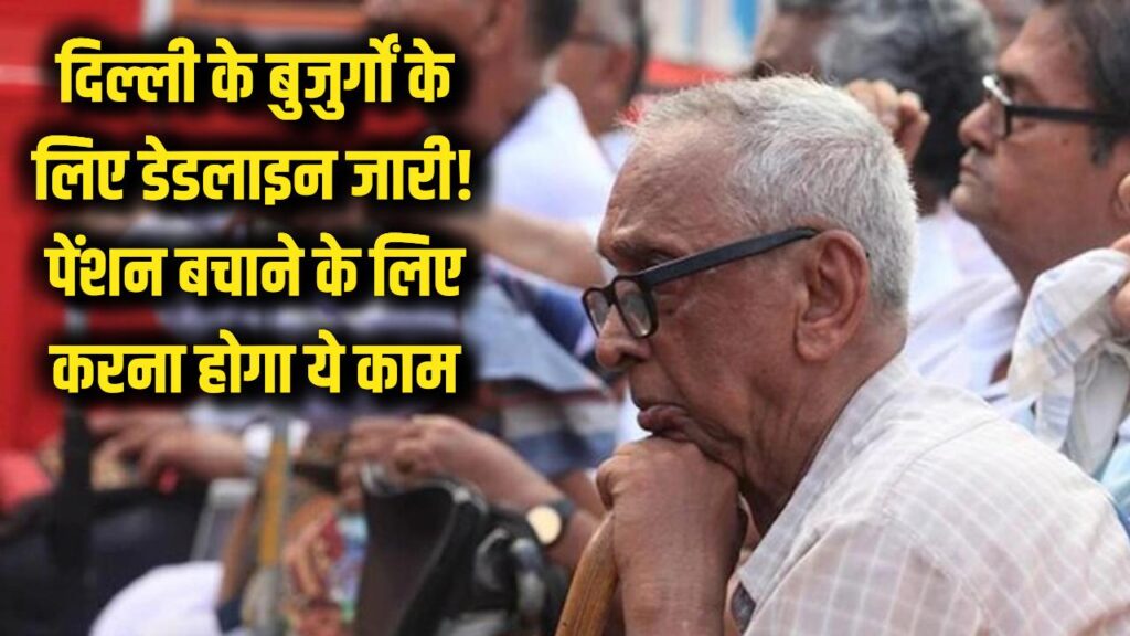 delhi 4 35 lakh senior citizens pension verification camp