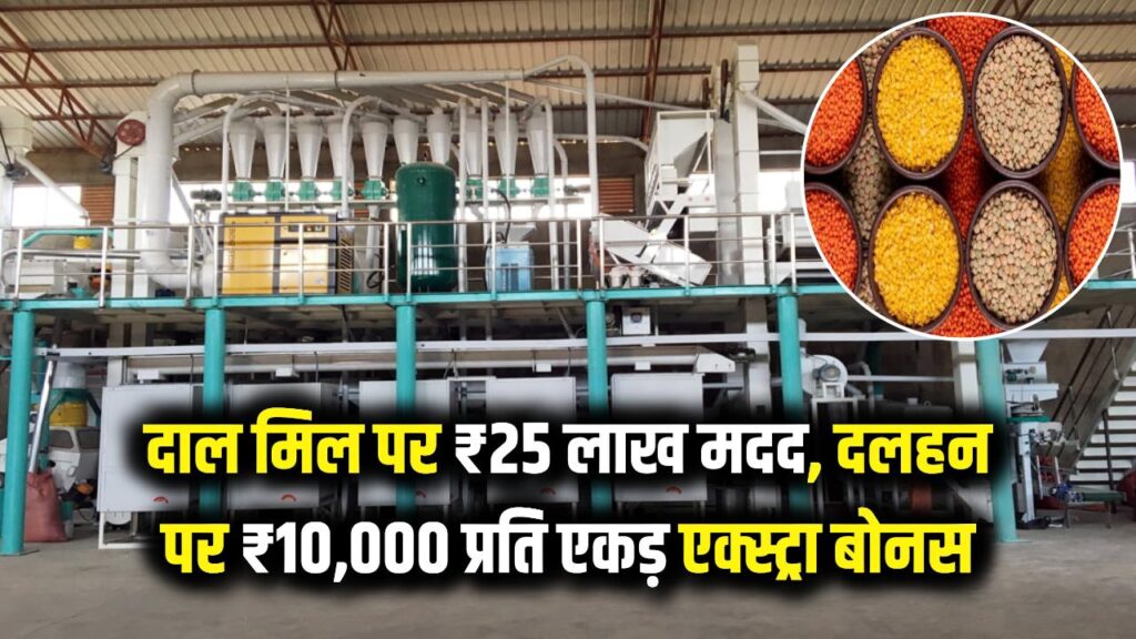 Dal Mill Subsidy: दाल मिल लगाएं, करोड़पति बनें! सरकार देगी ₹25 लाख तक की मदद; दलहन उगाने पर ₹10,000 प्रति एकड़ का एक्स्ट्रा बोनस। 