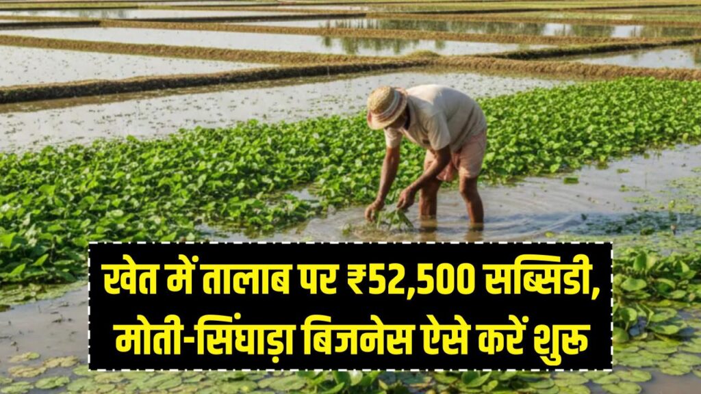 khet talab yojana now includes water chestnut and pearl farming the government is offering a subsidy of rs 52500 apply