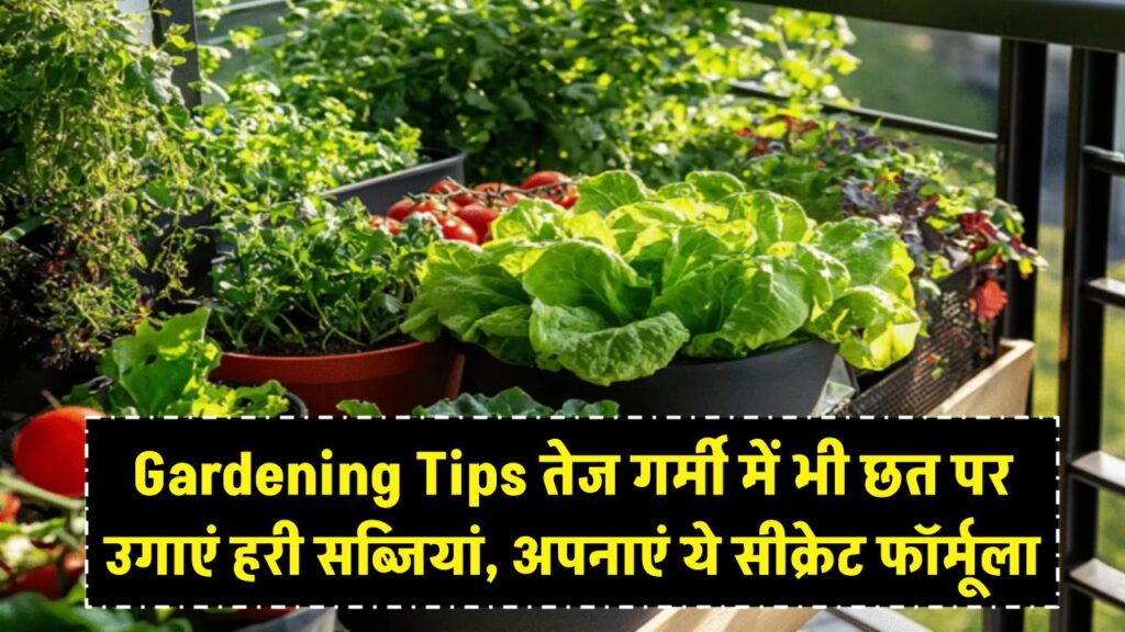 summer vegetable gardening tips hindi