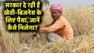 Agriculture Business: खेती के साथ शुरू करें अपना बिजनेस! सरकार दे रही है किसानों को मोटा फंड और सब्सिडी, जानें आवेदन का प्रोसेस।