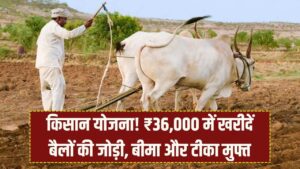 Farmer Benefit Scheme: बैलों की जोड़ी खरीदने पर ₹36,000 सहायता, साथ में बीमा और टीका मुफ्त