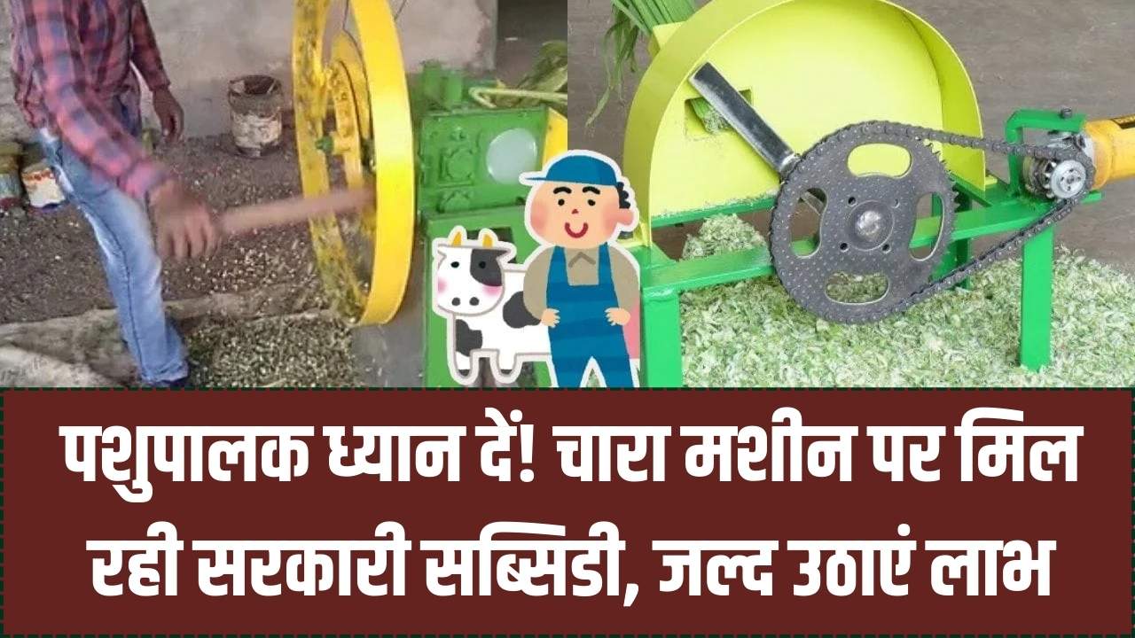 Farmer Chara Katai Machine Scheme: पशुपालकों की मौज! चारा काटने की मशीन पर सरकार देगी सब्सिडी; आवेदन करें और बचाएं अपने पैसे