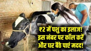 सिर्फ ₹2 में कराएं अपने पशु का इलाज! बस इस नंबर पर कॉल करें और घर बैठे पाएं सरकारी मदद; जानें पूरी प्रक्रिया।