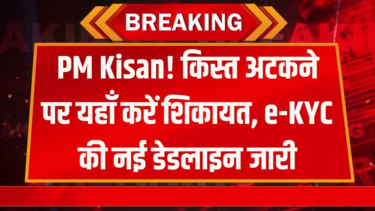 PM Kisan Help: किस्त अटक गई है? इन 5 तरीकों से तुरंत करें शिकायत; 22वीं किस्त पाने के लिए e-KYC की नई डेडलाइन देखें।