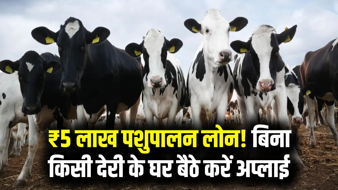 Pashupalan Loan: पशुपालन के लिए ₹5 लाख तक लोन, आसान ऑनलाइन आवेदन