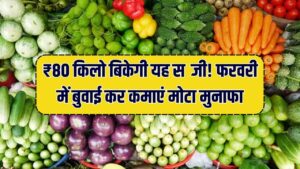 किसान ध्यान दें! फरवरी में लगाएं ये सब्जी, 35 दिन में होगी बंपर कमाई, ₹80+ किलो भाव