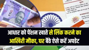रुक सकती है आपकी पेंशन! आधार को पेंशन खाते से लिंक करने का आखिरी मौका; घर बैठे मोबाइल से ऐसे करें अपडेट, देखें स्टेप्स